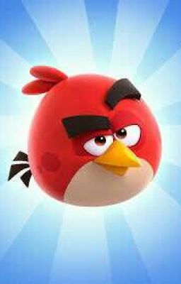 Angry birds storys