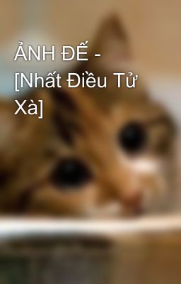 ẢNH ĐẾ - [Nhất Điều Tử Xà]