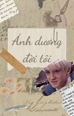 Ánh dương đời tôi (Draco Malfoy x y/n)