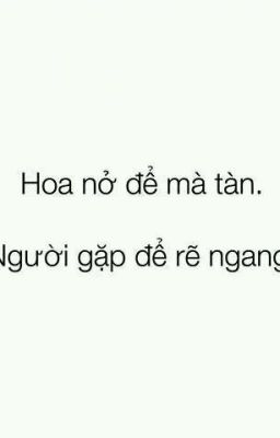 Anh, Em Và Năm Tháng Ấy ( Trường X Phượng )