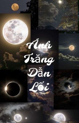 Ánh Trăng Dẫn Lối