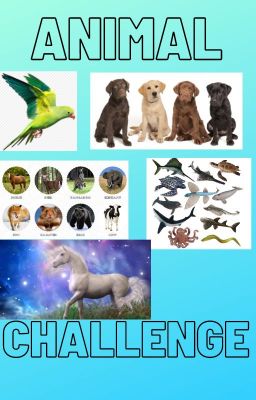 Animal Challenge