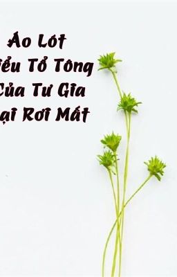 Áo lót tiểu tổ tông của Tư gia bị rơi mất