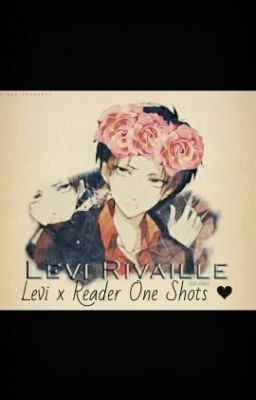 AOT~ Levi x Reader Oneshots!