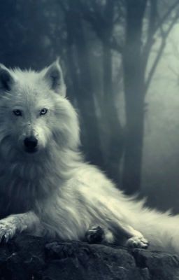 Arctic Wolf / Avengers fanfic mash-up