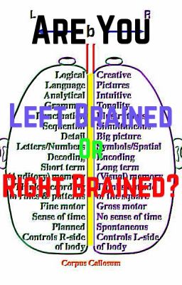 Are you Left Brained or Right Brained?