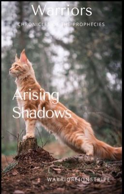 Arising Shadows Facts