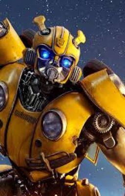 ask bumblebee from transformers