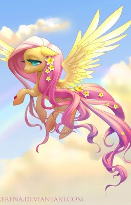 Ask Fluttershy!