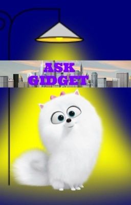 Ask Gidget