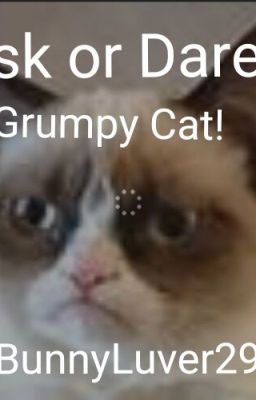 Ask or Dare Grumpy Cat