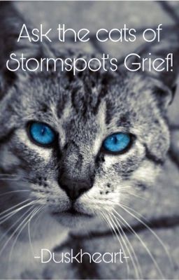 Ask the cats!! Stormspot's Grief