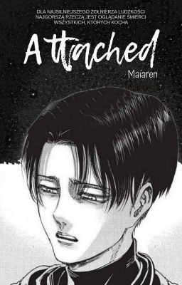 attached | levi ackerman snk ff