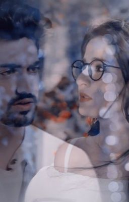 AvNeil- PYAAR