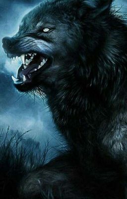 Awesome Werewolf stories on wattpad