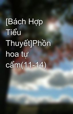 [Bách Hợp Tiểu Thuyết]Phồn hoa tự cẩm(11-14)