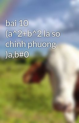 bai 10 (a^2+b^2 la so chinh phuong )a,b#0