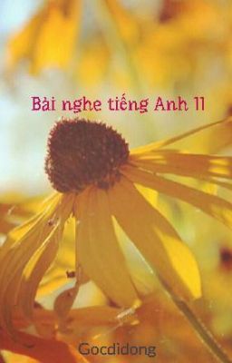 Bài nghe tiếng Anh 11