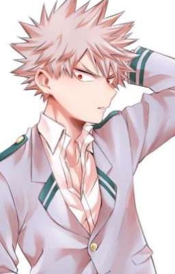 Bakugou x Y/N ( Oc ) 