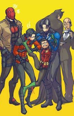 Batfamily/ DC Universe