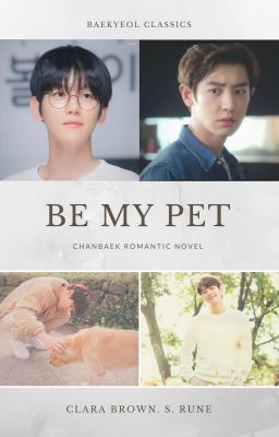 BE MY PET | CHANBAEK FF