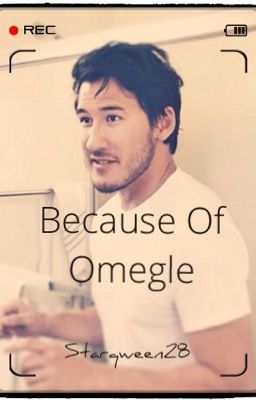 Because of Omegle II ON HOLD II (Markiplier x reader fanfic)