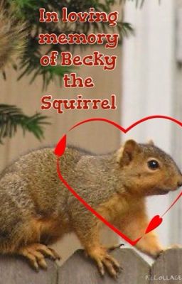 Becky the Squirrel (COMPLETED)