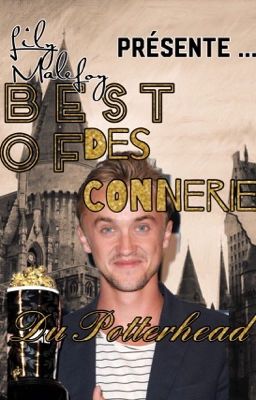 BEST OF des conneries du Potterhead