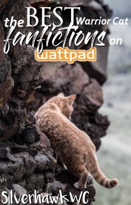 ✦ best warrior cat fanfictions on wattpad✦