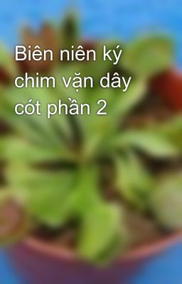 Biên niên ký chim vặn dây cót phần 2