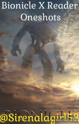 Bionicle X Reader Oneshots [REQUESTS OPEN]