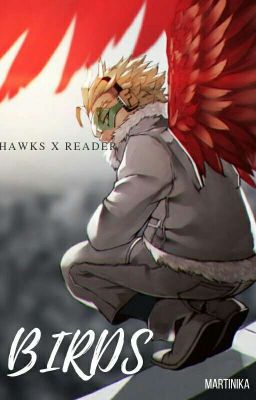 Birds [Boku No Hero Academia] Hawks x Reader |In Pausa|