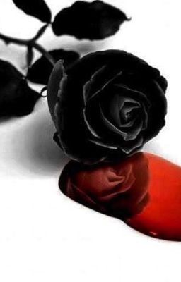 Black rose là tôi! Lạnh lùng ư? Tôi không sợ