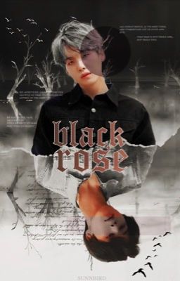 Black Rose | Yoonmin