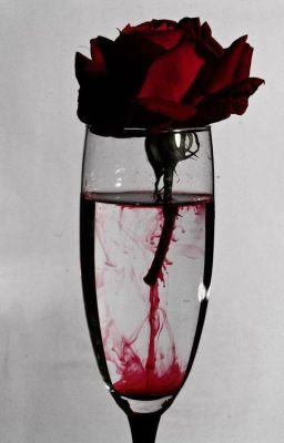 Bloody rose