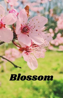 Blossom