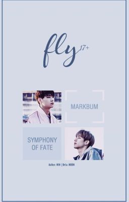 BMark | Fly 17+