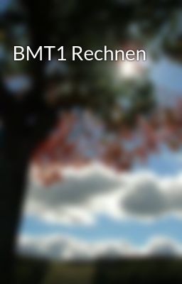 BMT1 Rechnen