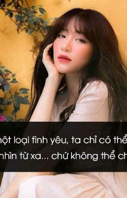 bồ công anh 