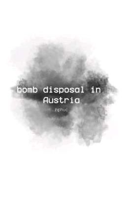 bomb disposal in Austria