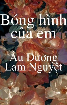 Bóng hình của em