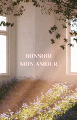 Bonsoir, mon amour