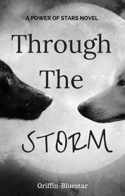 Book One - Through the Storm (Power of Stars Series)