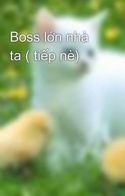 Boss lớn nhà ta ( tiếp nè)