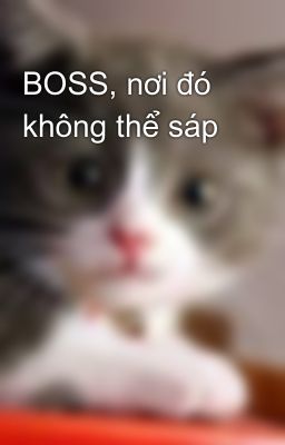 BOSS, nơi đó không thể sáp