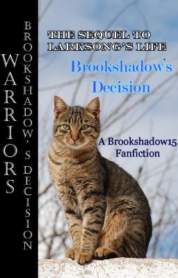 Brookshadow's Decision