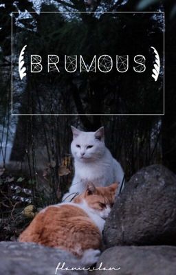 brumous ➤ a warriors short story.