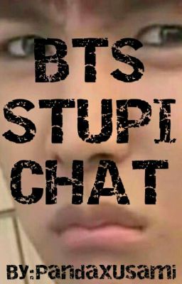 BTS Stupid Chat 