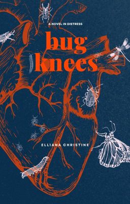 Bug Knees