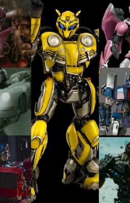 bumblebee far from home